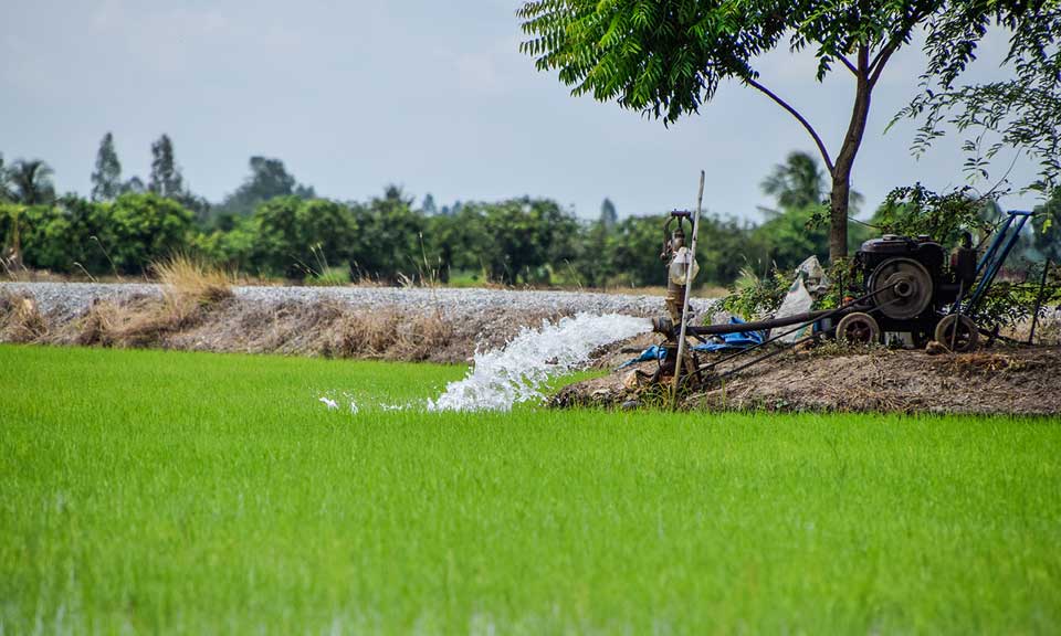 موتور پمپ آب کشاورزی دیزلی